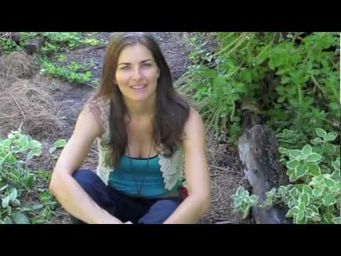 Grow Mother of Herb with Nicola Chatham hqdefault