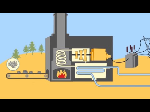 Video: ¿Cómo genera electricidad la biomasa?