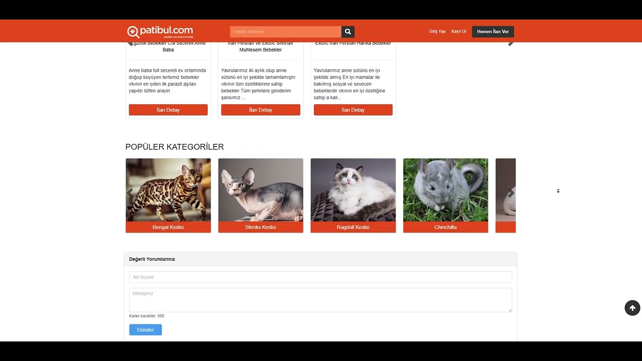 PATİBUL EXOTİC SHORTHAİR SAHİPLENME HİKAYEM