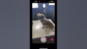 Sometimes I wish I could disappear #tutorial 🥰🩵