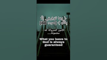 مفتاح النجاح والتوفيق | مشاري العفاسي يبدع في سورة هود