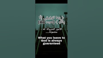 مفتاح النجاح والتوفيق | مشاري العفاسي يبدع في سورة هود
