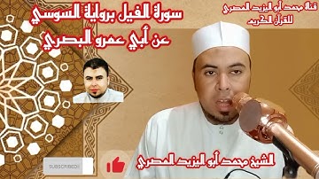 حصريا تلاوة مباركة |سورة الفيل ❤️برواية السوسي عن أبي عمرو البصري ❤️ الشيخ محمد أبو اليزيد المصري
