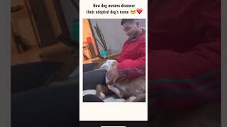Aww🥹 They Discovered Their Adopted Dog’s name ❤️ #wholesome #cutepuppy #love #shorts