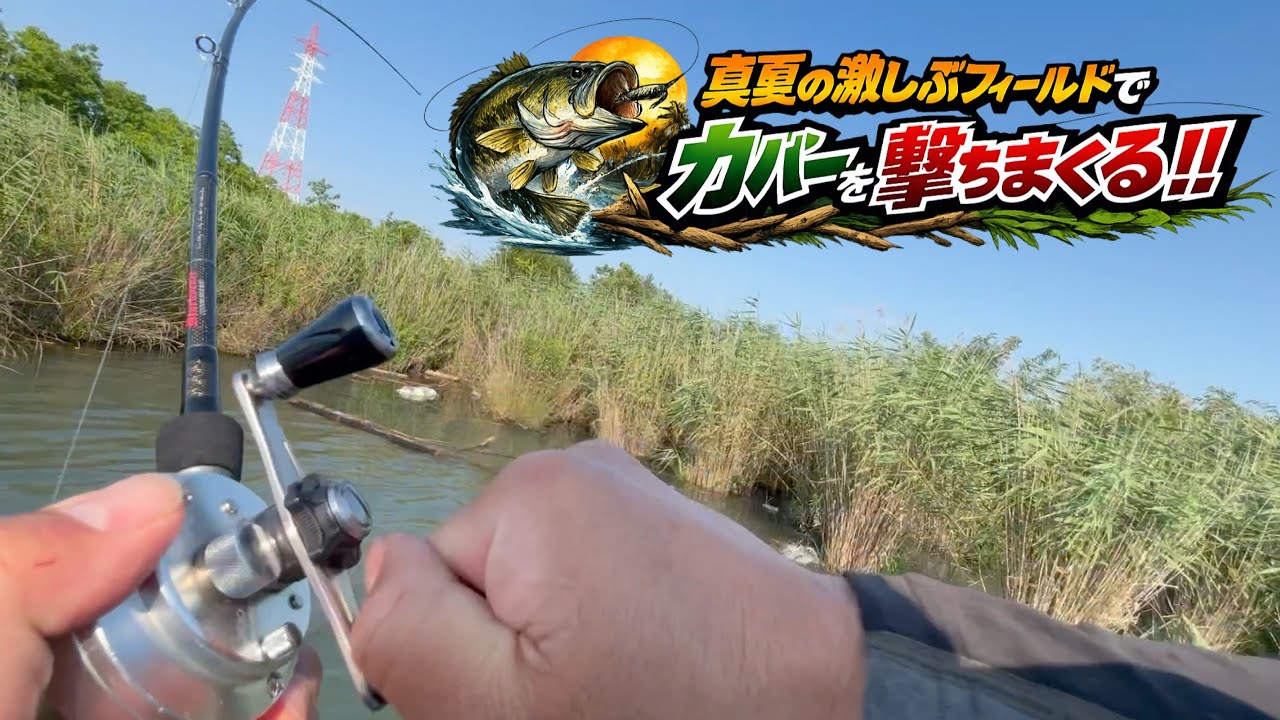 【真夏のバス釣り】雨続きからのローライト！激しぶフィールドでカバー撃ちまくり！