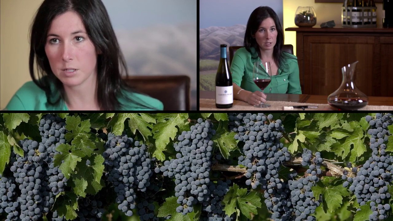 Carmel Road, Pinot Noir, Server Training video