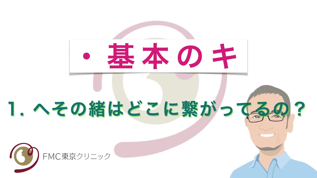 基本のキ 1 胎児のへその緒は どこに繋がっているの Youtube