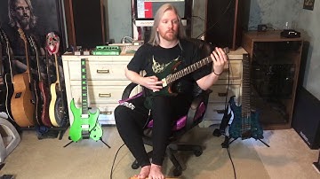 Defeated Sanity - Dharmata (guitar cover)