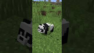 New Baby Panda Model in Minecraft