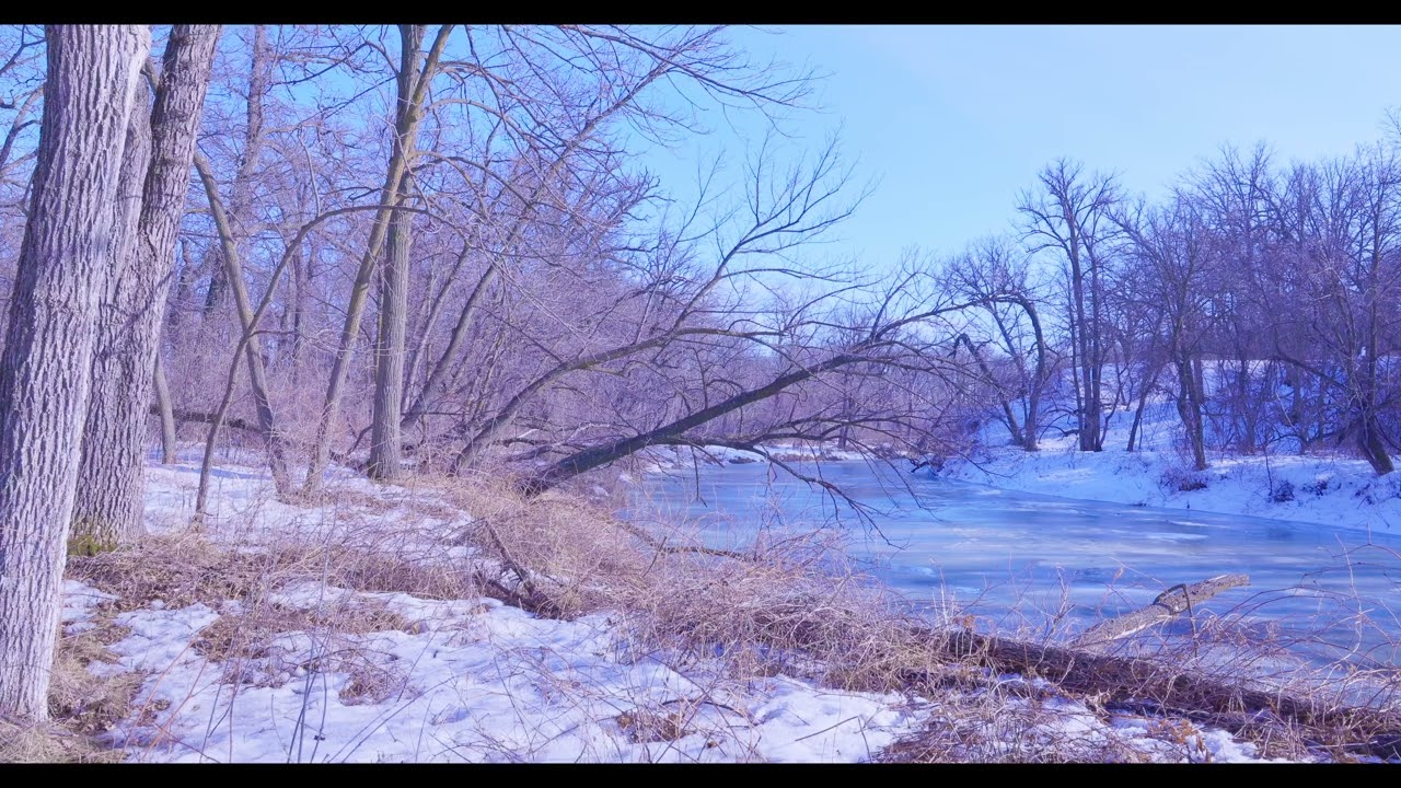 STATIC STATE - NATURE 015