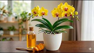 सिर्फ एक बोतल! ऑर्किड में जड़ें निकलेंगी और भरपूर फूल खिलेंगे। screenshot 3