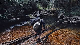 Pesca y Aventura: Caminé kilómetros explorando ríos de montaña
