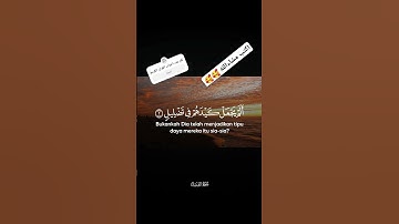 قران كريم # سورة الفيل # ارح قلبك واستمع الي القران # #دويتو #فولو #اكسبلور #لايك