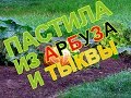 РЕЦЕПТ ПАСТИЛЫ ИЗ АРБУЗА И ТЫКВЫ.