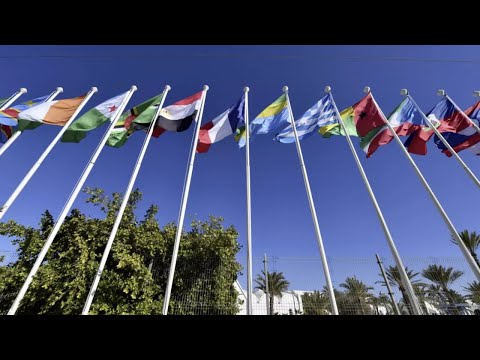 تغيير أعلام الدول ما هي الآلية المعتمدة فرانس 24 