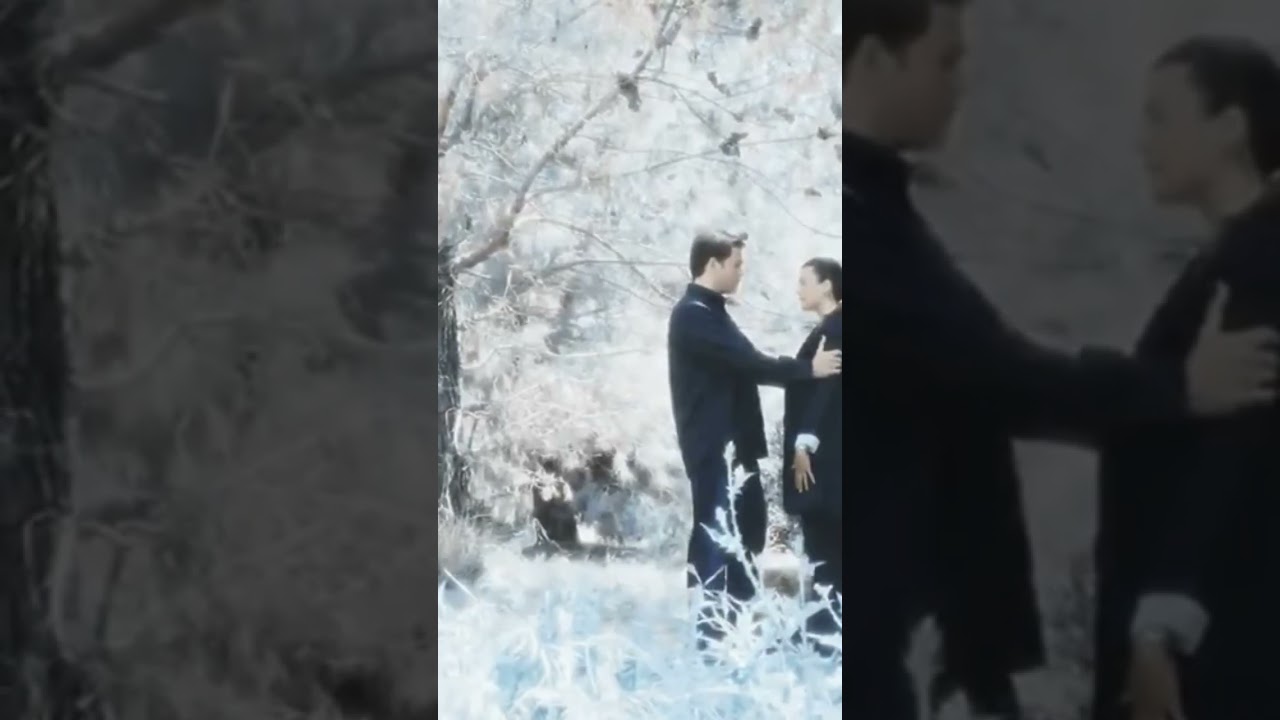 Tony and Ziva lovely 