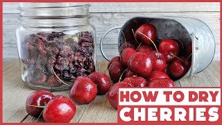 How to Dehydrate Cherries + Best Cherry Pitter for Drying Cherries