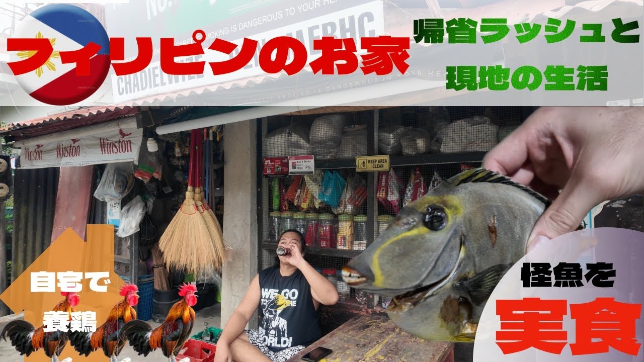 家の中が養鶏場！？🐔フィリピンの地方で怪魚を食すぶらり旅🇵🇭！！