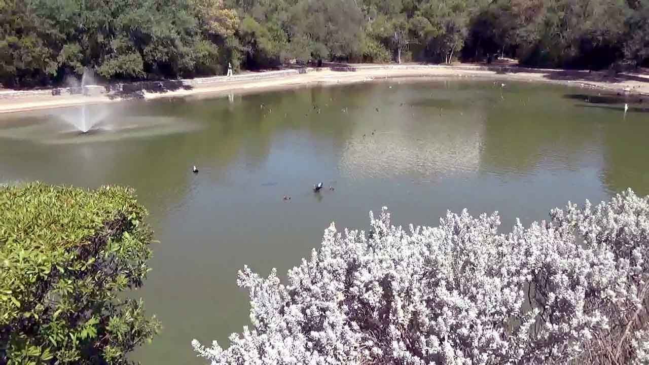 Texas Duck Pond - View From The Bridge_7 🎼