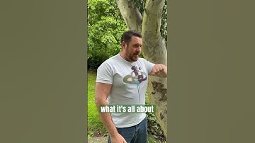 First impressions of Blue Talisman by Ex Nihilo #fragrance #frags #exnihilo #bluetalisman #hype