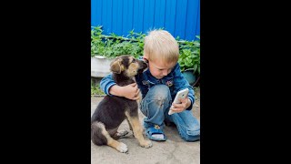 Спасли бездомного щенка. A homeless puppy