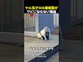 ヤル気ゼロの看板猫がクビにならない理由