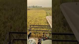 gm harvestar is comming to filde #ricefarmer #gm #agriculturalsystem #vairal #farming #drivinglife
