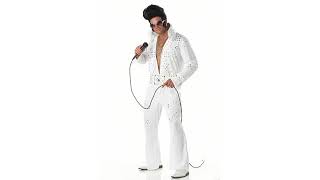 2017 Halloween Reviews! Aloha Elvis Adult Costume,White,Large