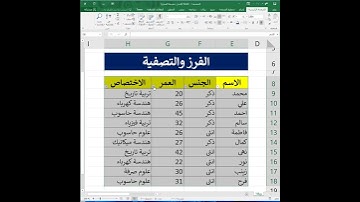 شرح الفرز وتصفية البيانات في برنامج اكسل باقل من دقيقة واحدة