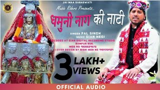 Latest Pahari Naati 2019 | Dhamuni Naag Ki Suketi Naati | Pal Singh - Music RiderZ