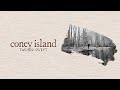 Taylor Swift - coney island ft. The National (Lyric Video) HD