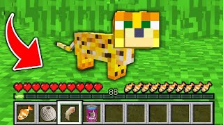 Minecraft - HOW to play BABY OCELOT in Minecraft! Animation NOOB VS PRO VS HAKER VS GOD by Object Events. 4,729 views 3 years ago 10 minutes, 1 second