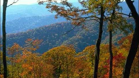 Holy Quran Surat al-Mulk Ibrahim alzayatتلاوة سورة الملك :ابراهيم الزيات