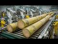 How Sugarcane Is Transformed Into Sugar Inside a Mega Factory