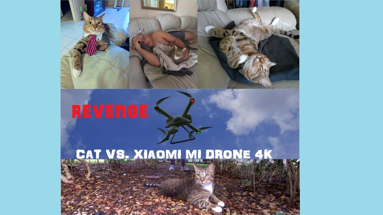 dronesense Cat Vs. Drone (Revenge) - Mini Drone JJRC