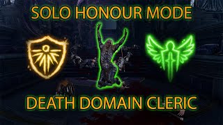 Can This NEW Subclass SURVIVE Solo Honour?