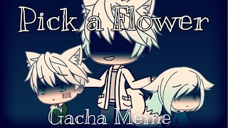 Pick A Flower| Meme (Eira/Rashard’s Backstory)