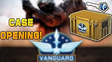 CS:GO Vanguard Case OPENING! (15 cases)