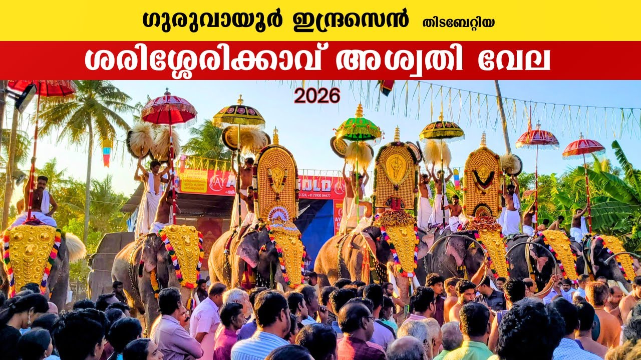 sarisserykavu aswathi vela 2026 | guruvayur indrasen |