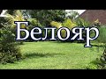 Практика Белояр. Упражнения - компас, подкова и циркуль.