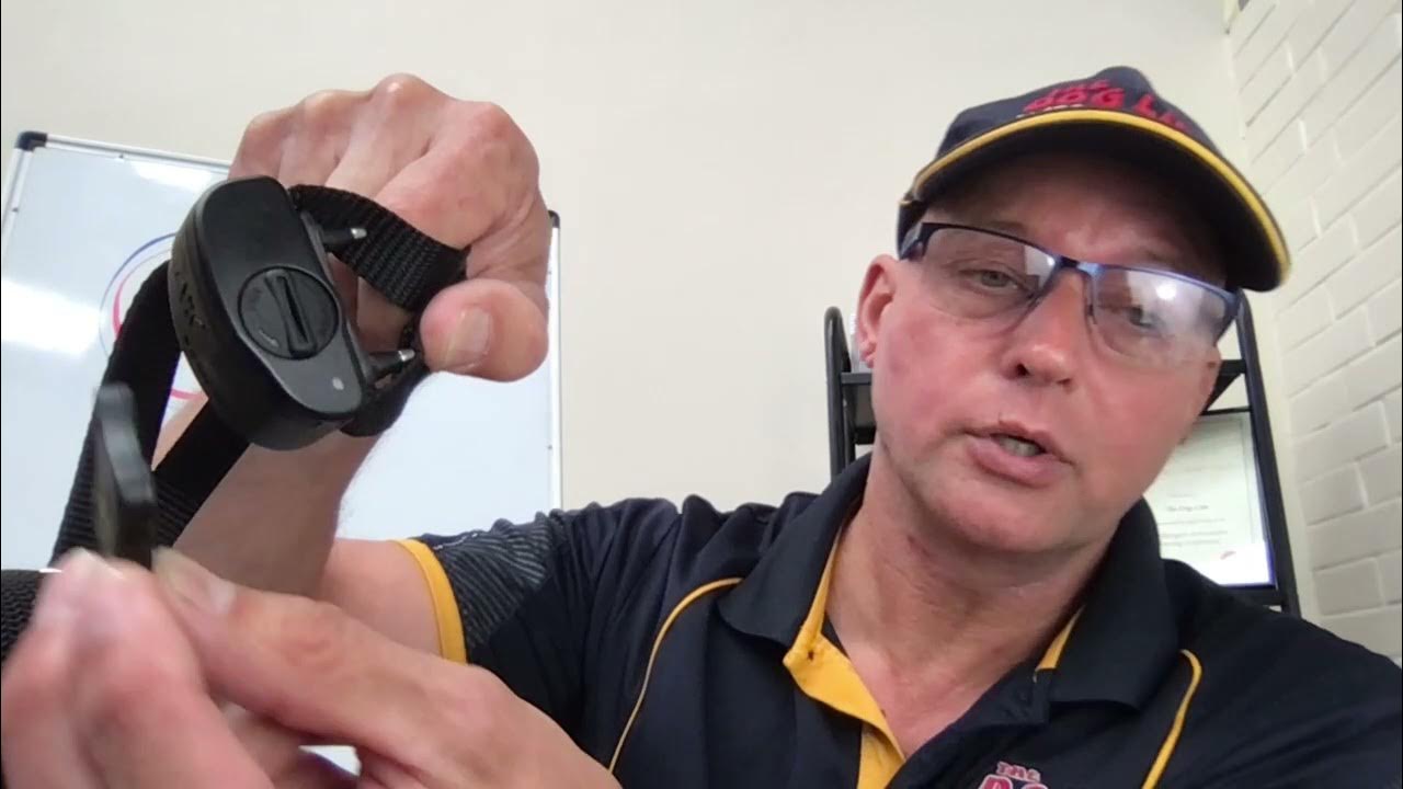 Dog Fence Collars and How to change the levels YouTube