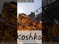 Koshka - Call of Duty Game Play #codm #codmobile #shorts #callofdutymobile #codmgameplay