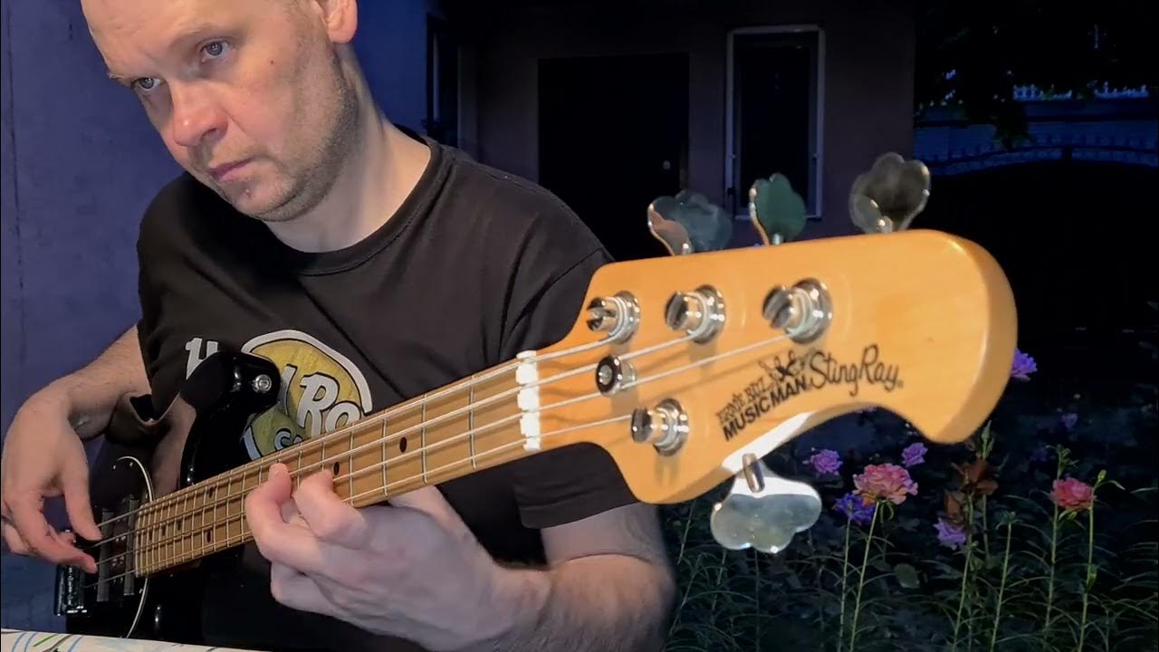 Basixx - Disc me bro, bass cover Basixx - Disc me bro, bass cover