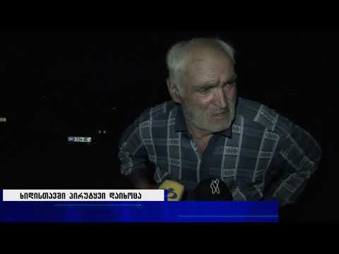 ხიდისთავში პირუტყვი დაიხოცა