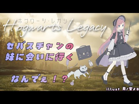 🧙‍♀️.˖⋆ 魔女みくの ホグワーツ・レガシー #10