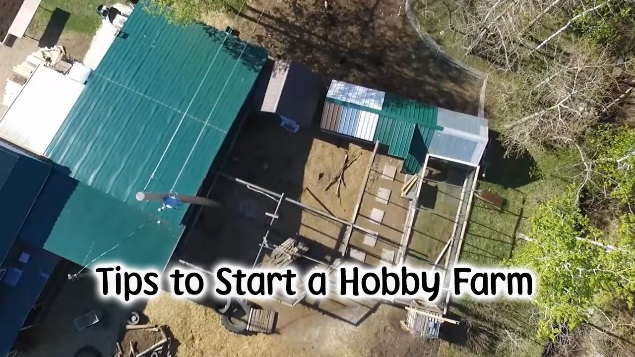 How to Start Your Hobby Farm