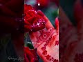 Very simple unique style mehndi design for back hand|new easy mehndi design 2026 | mehandi designs|