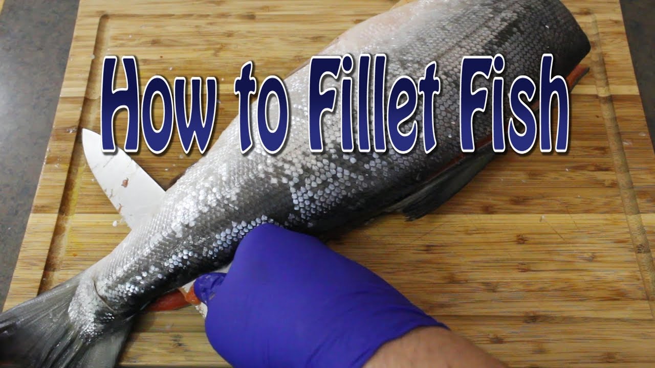 How to fillet a salmon | cooking for beginners - YouTube