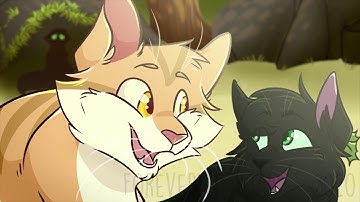 Fix You | Leafpool & Hollyleaf MAProject (pt 12)