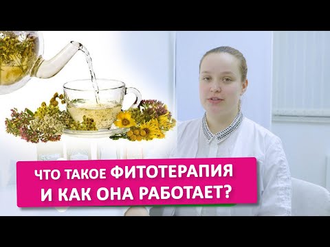 Видео: Фитотерапия